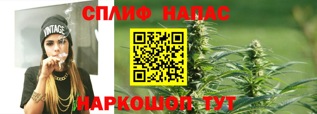 Новозыбков  Конопля план  Конопля гибрид  Вход с VPN  МАРИХУАНА Ganja  Канабис MAZAR 